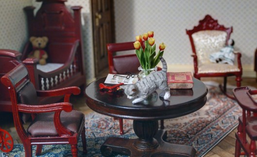 OLYMPUS DIGITAL CAMERA